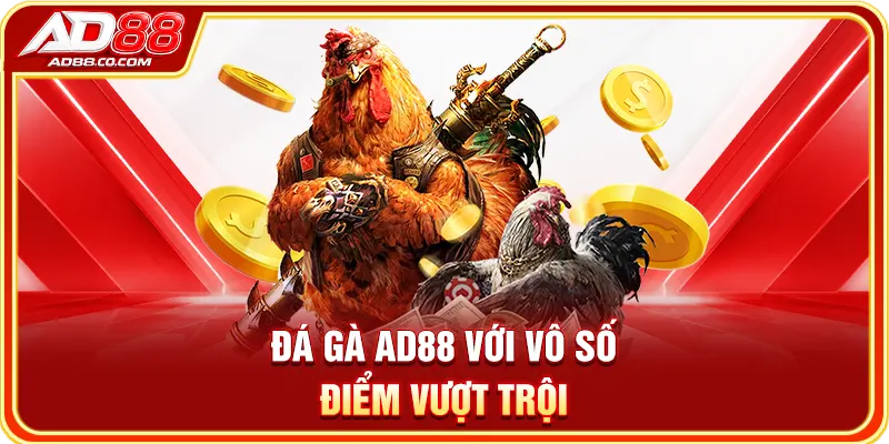 Đá Gà AD88: Trường Đấu, Hình Thức & Dữ Liệu Trận 3 Đá gà AD88 với vô số điểm vượt trội